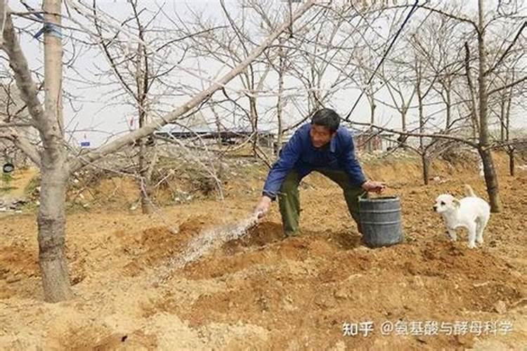 小雨可以撒施冲施肥吗