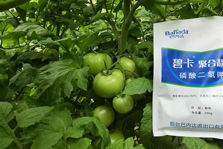 磷钾肥和磷酸二氢钾有什么区别