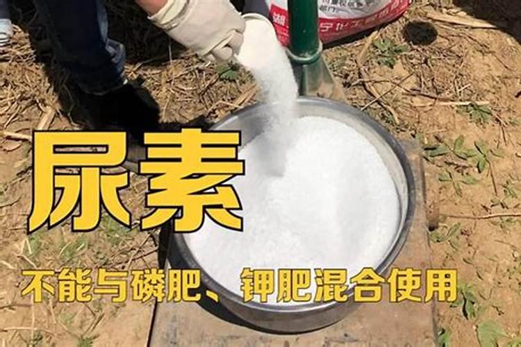 尿素和钙镁磷肥可以混合使用吗？