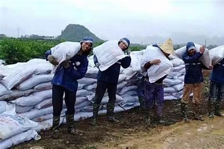 沃柑七月钾肥能施多少肥料？