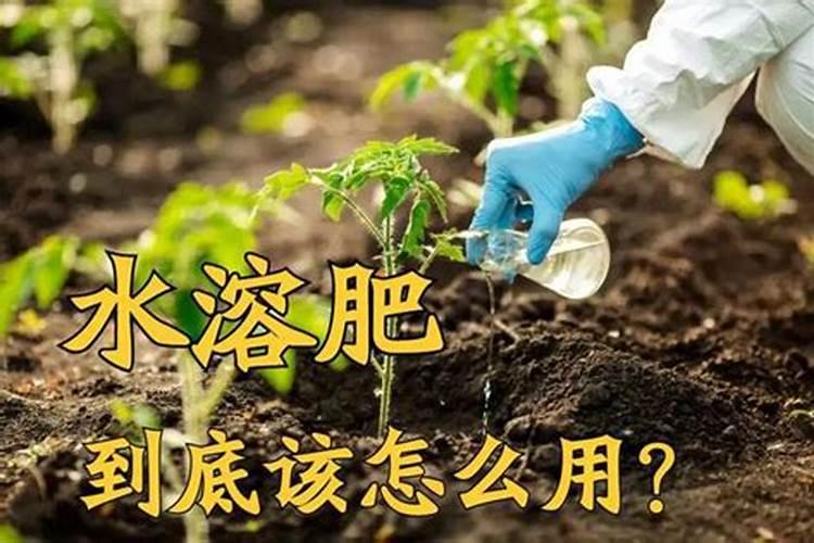 肥料是啥好水溶肥呢怎么用？