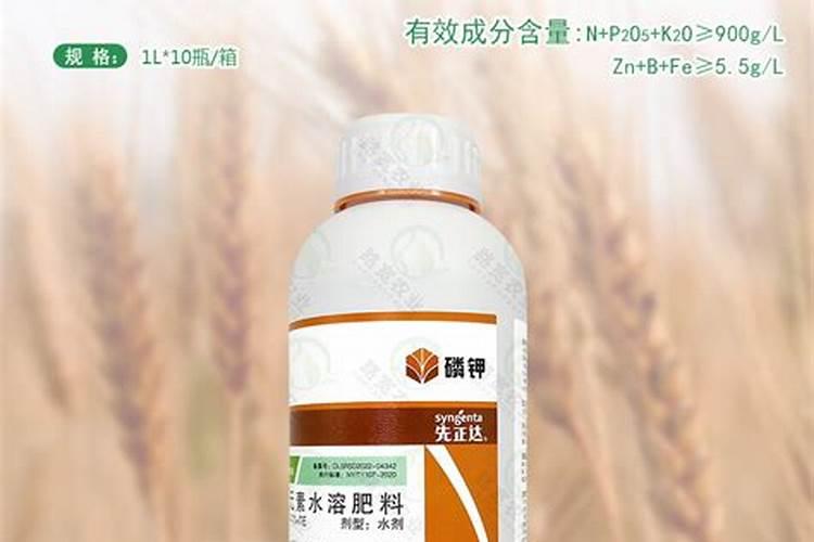 河北水稻叶面肥料厂家有哪些？
