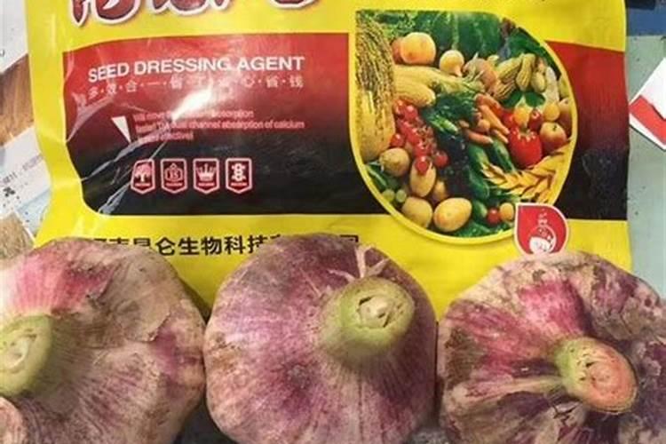 流体氮肥在大蒜上的效果如何？