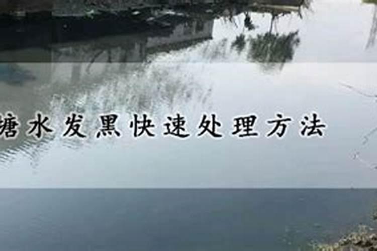 池塘水发黑快速处理方法