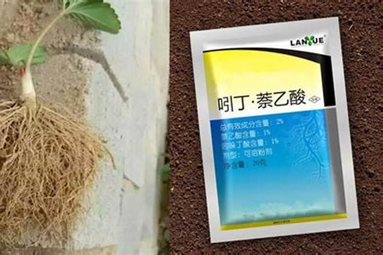 生根肥使用过程中应注意什么