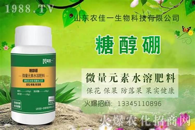 硼肥有哪些