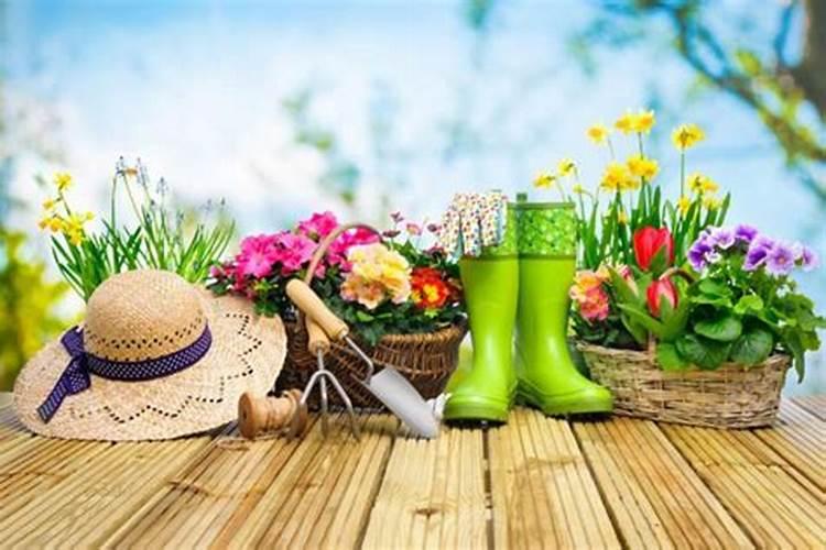 在养花时如何使用磷肥 养殖花使用磷肥的方法