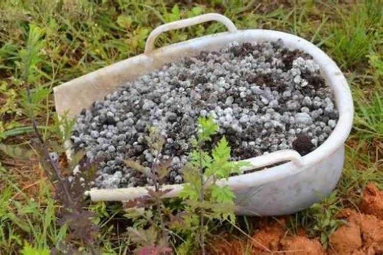 自己做花肥怎样才算腐熟
