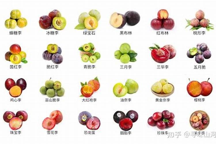 李子口感不好用什么肥？