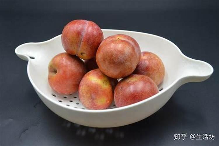 李子有点小用什么化肥好(李子树施上什么肥料很甜)