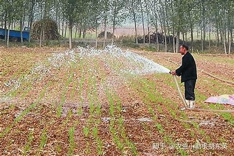 冲施肥的执行标准是什么