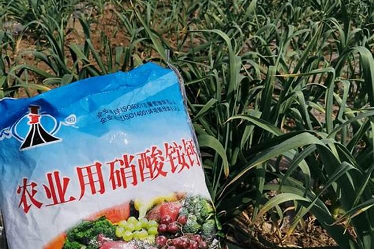 种植玉米需要多少肥料尿素二铵钾肥？