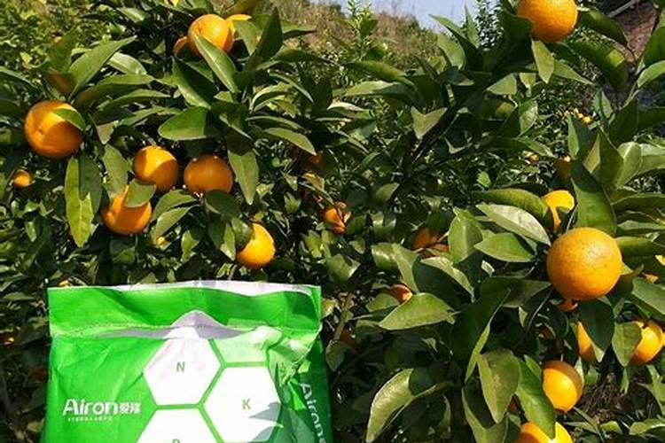 果树水溶肥冲施怎么用最好？