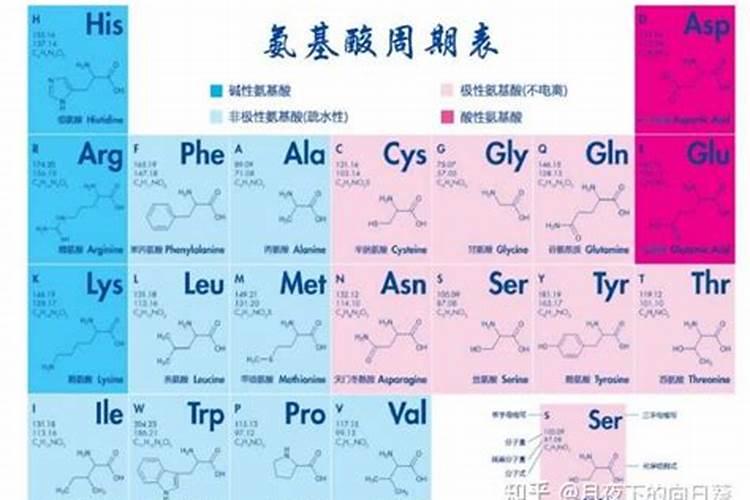 全元素与氨基酸能混用吗
