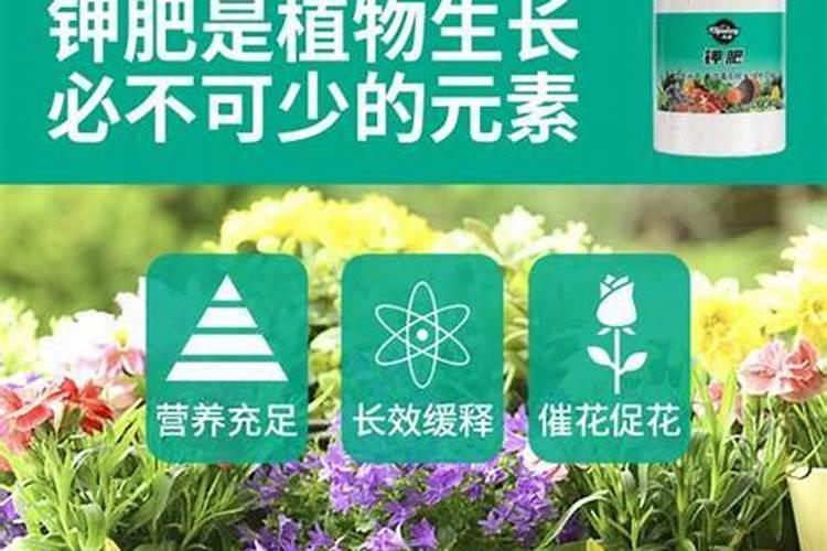 有机无机鳌合氮肥的区别和用途