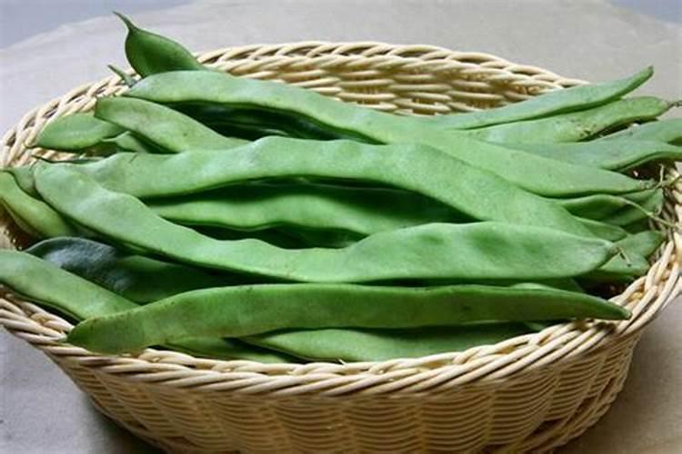 芸豆叶片发黄,怎么回事？
