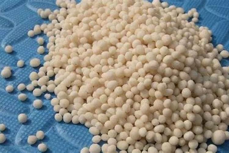 花的肥料氮肥有哪些作用与功效？