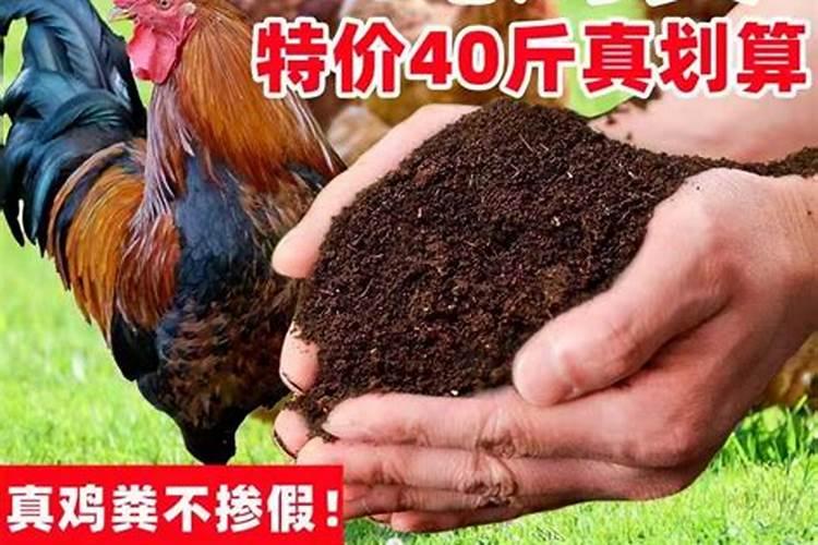 鸡粪肥最忌三种菜