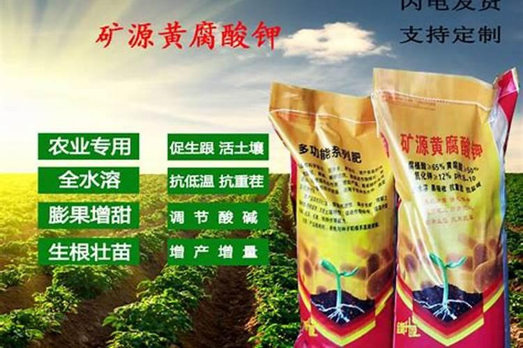 黄腐酸钾化成水剂生根效果怎么样？