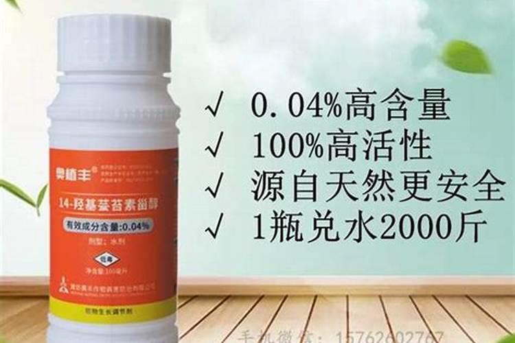 冷天用芸苔素好还是胺鲜酯效果好？