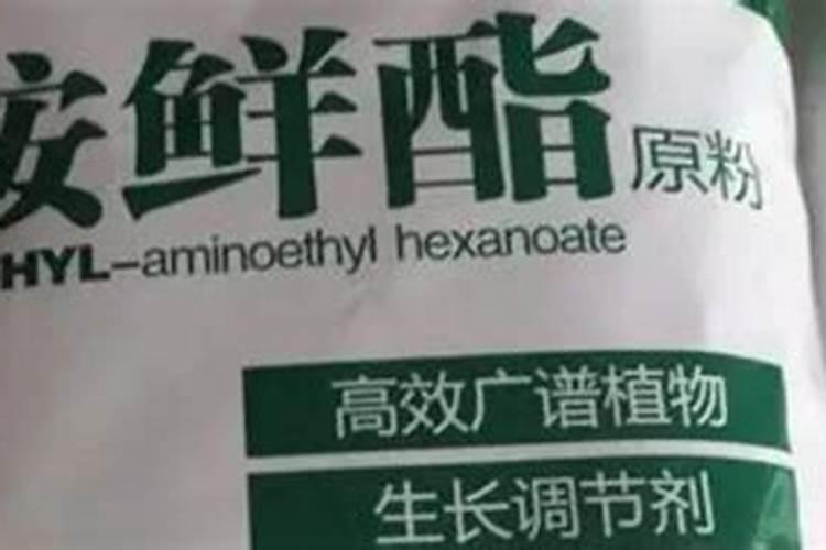 胺鲜酯和芸苔素的区别