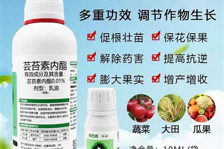 高效植物生长调节剂,芸苔素内酯和胺鲜酯应该如何选择？