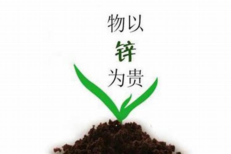 如何给农作物科学施用锌肥