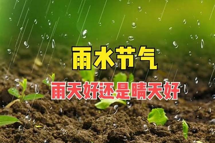 化肥晴天施好还是雨天施好？