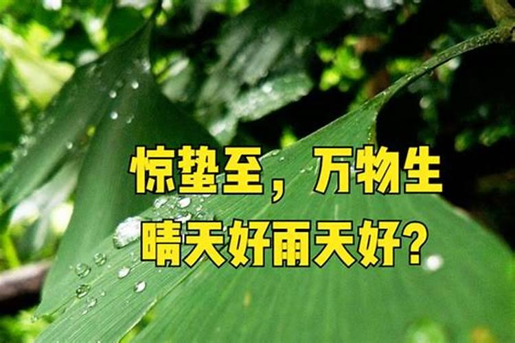 施肥是晴天好还是雨天好
