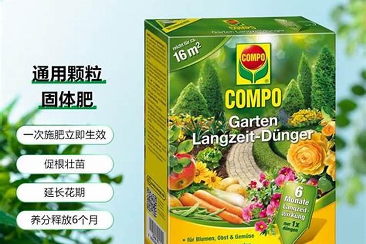 康朴肥可以给兰花用吗