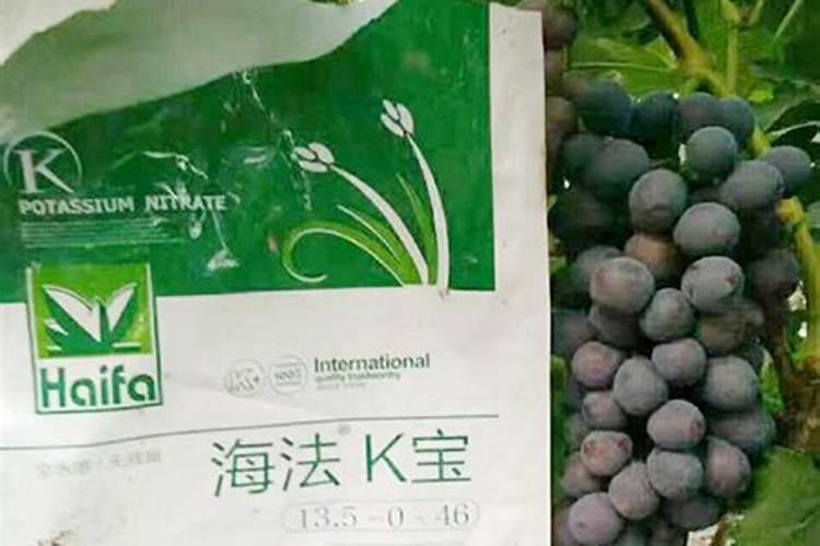 高钾水溶肥膨果效果怎样样？