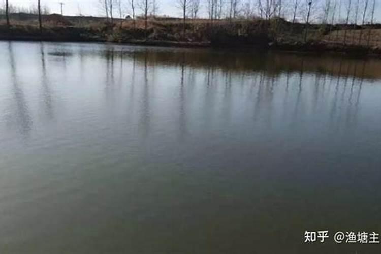 池塘肥水用什么肥好