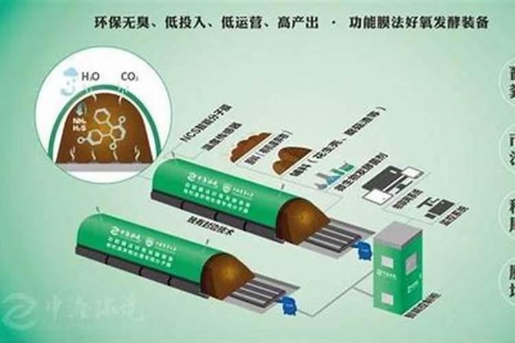 好氧堆肥分为几个阶段？