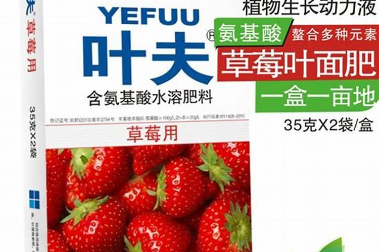 草莓用氨基酸好还是黄腐酸好