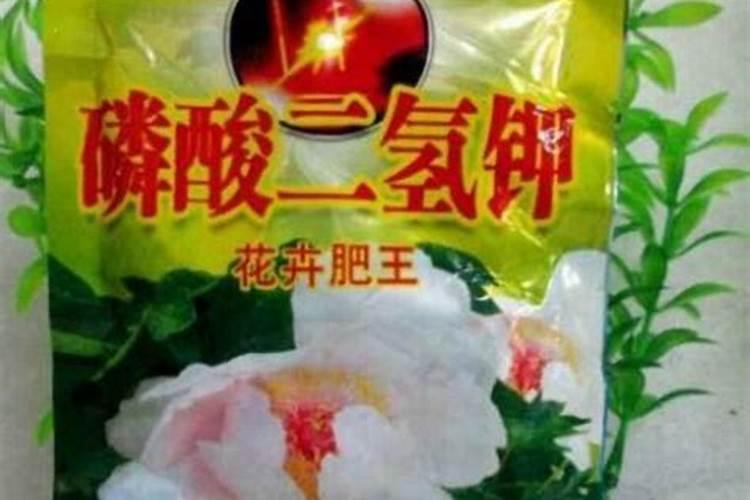 家中养花没有磷酸二氢钾肥？有什么东西可以代替一下吗？