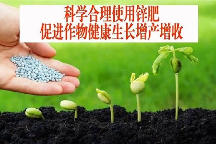 锌肥能让作物长得快么为什么？