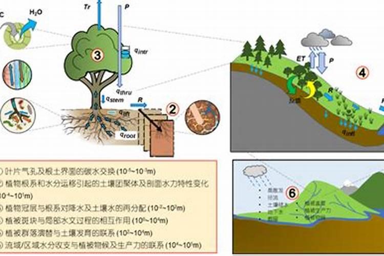 下雷雨时可以增加土壤中的什么