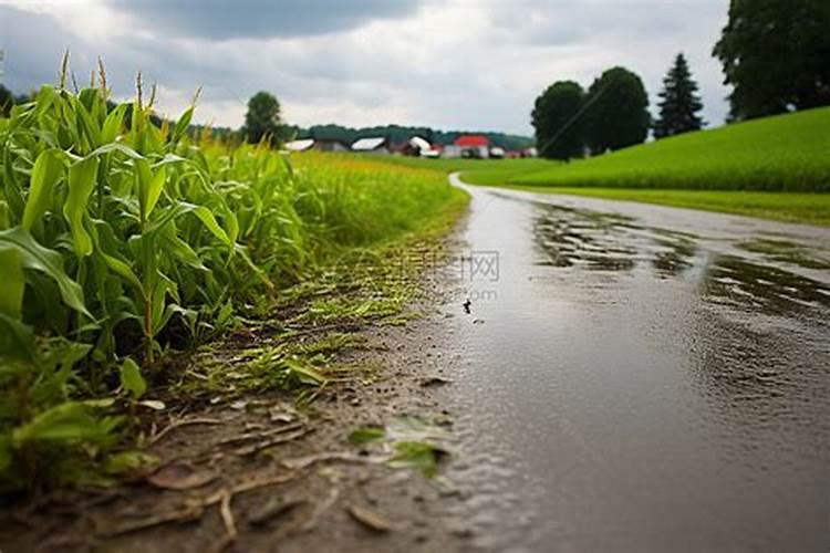 雷雨发庄稼是指雷雨过后可以增加土壤中的