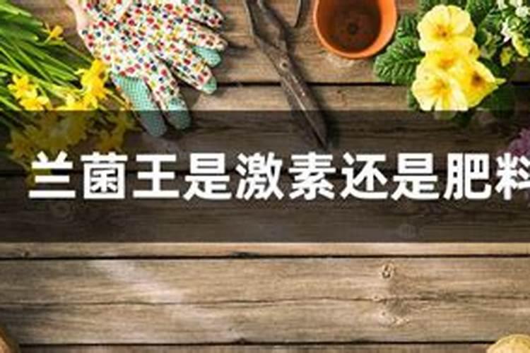 兰菌王的正确使用方法