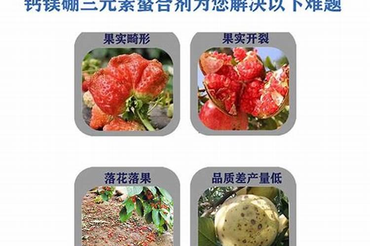 糖醇钙镁硼和鱼蛋白加云台素能保花保果作用吗？