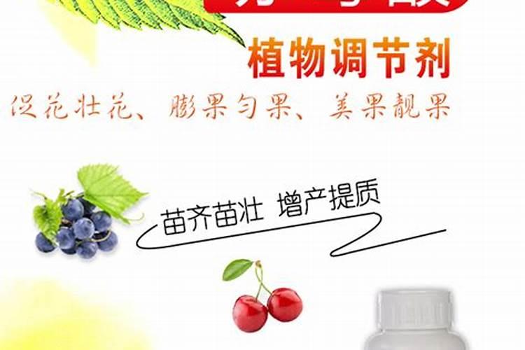 28表芸赤霉酸最佳搭档是什么