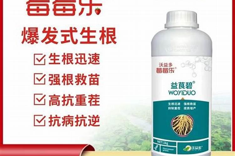 如何使用微量元素及钙肥促进保果？