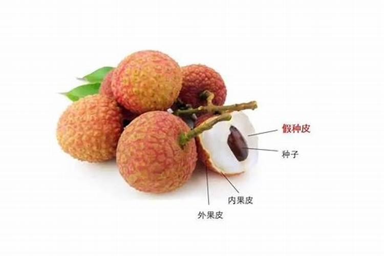 荔枝果开裂是什么引起的用什么药