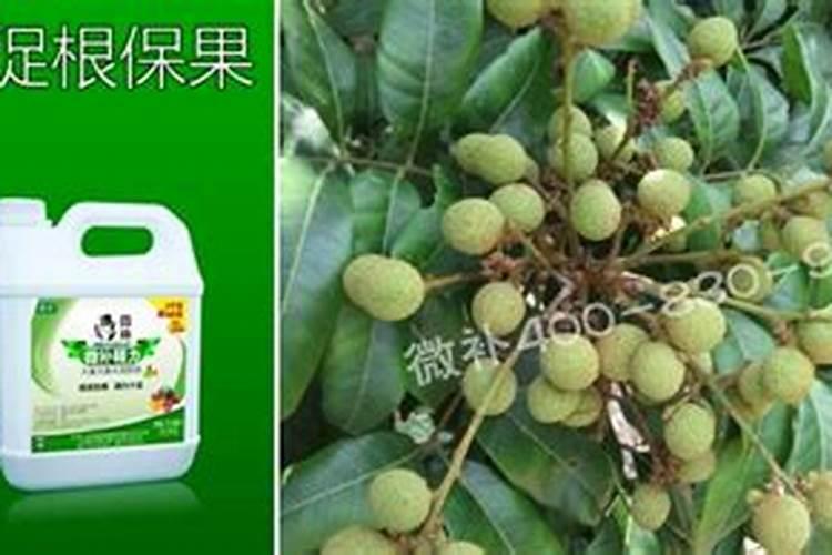 荔枝如果保花保果,用什么农药好？