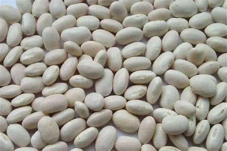 如何掌握菜豆的施肥技术？