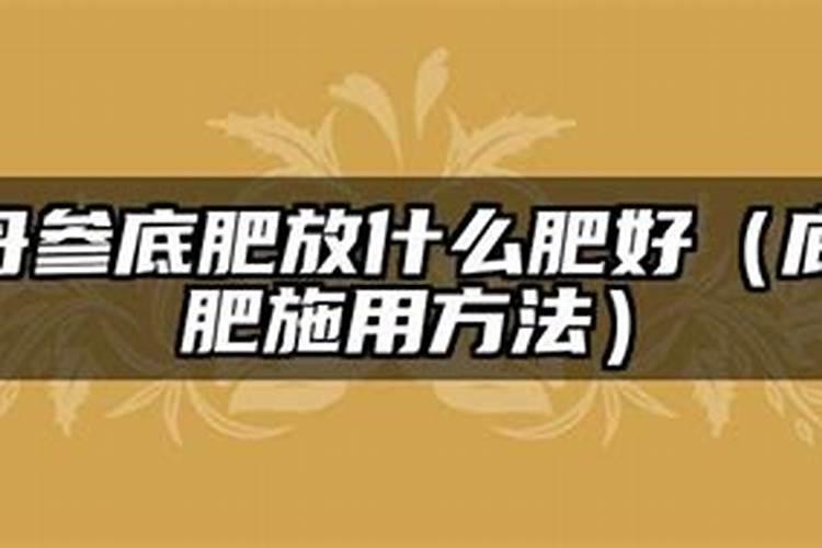 丹参底肥放什么肥好(底肥施用方法)