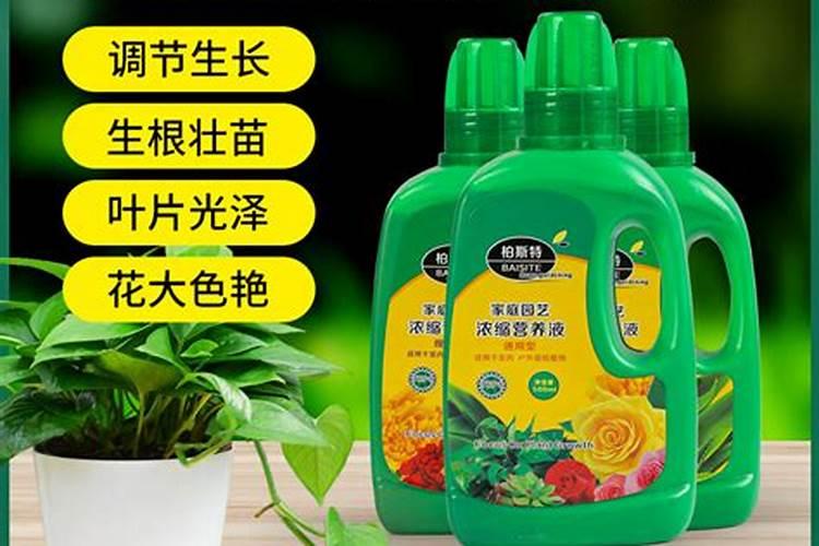 养花卉的用什么营养液  花卉营养液十大排名