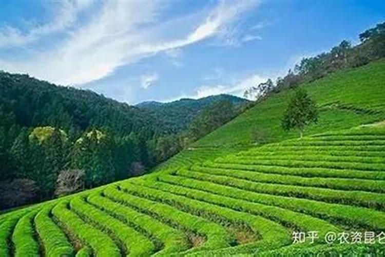 黄土地含钾肥高吗怎么办？