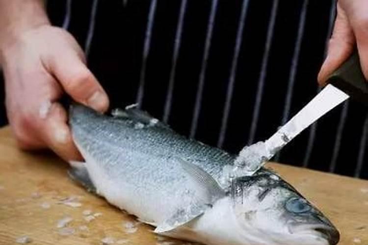 如何去鱼腥味？