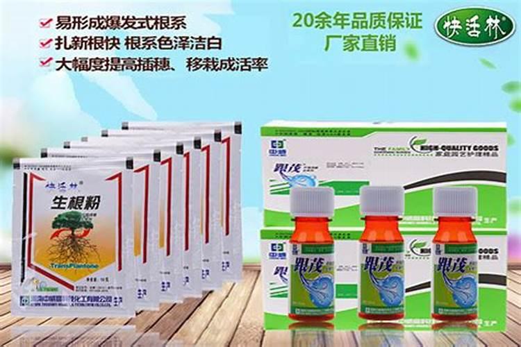 生根粉怎么用效果好 生根粉怎么用效果最佳